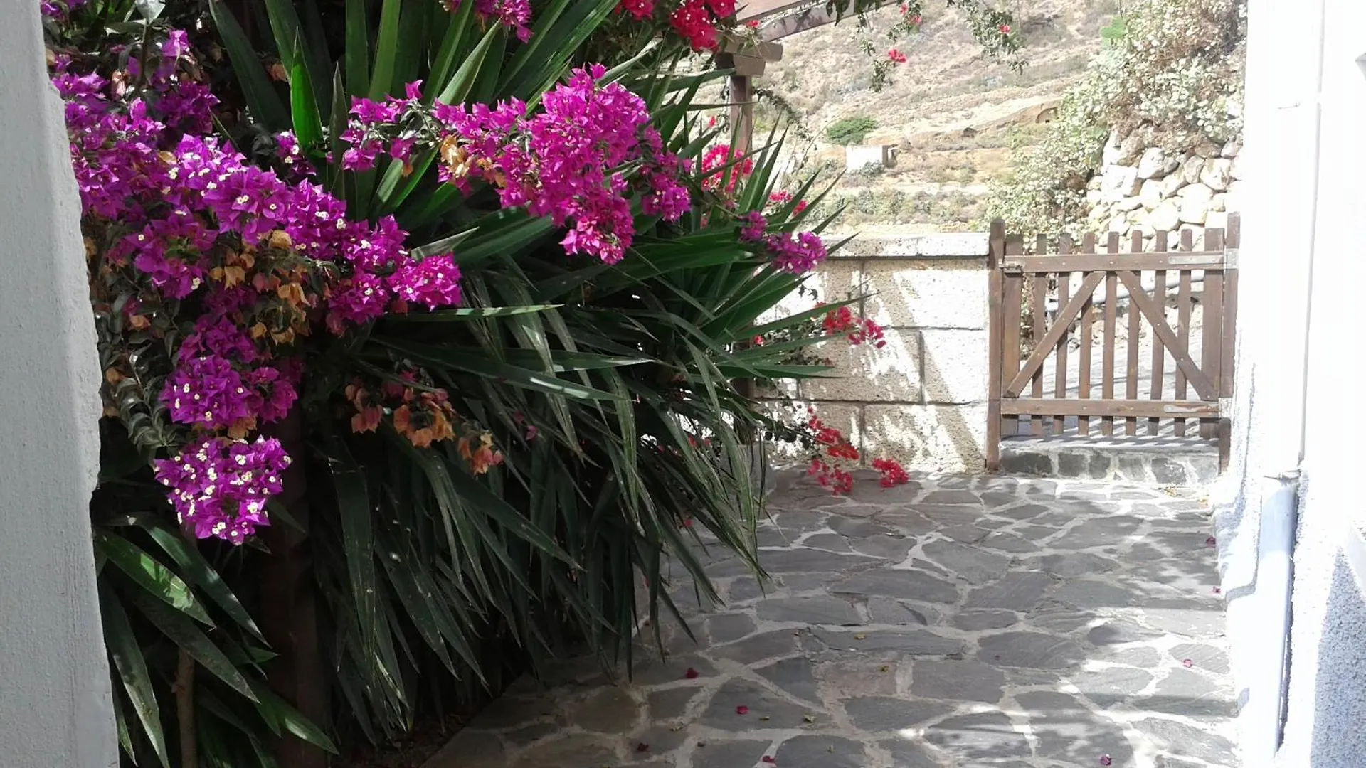 Casapancho 1 Y 2 - Casa Rural - Fasnia - Tenerife